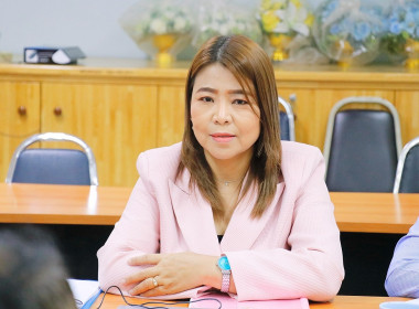 โครงการประชุมเชิงปฏิบัติการ ... พารามิเตอร์รูปภาพ 29